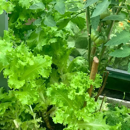 Maeekalda Garden With Private Sauna 라크베레