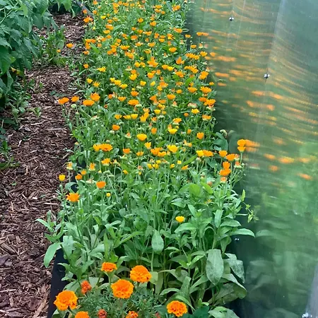 아파트 Maeekalda Garden With Private Sauna