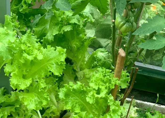 Maeekalda Garden With Private Sauna Раквере