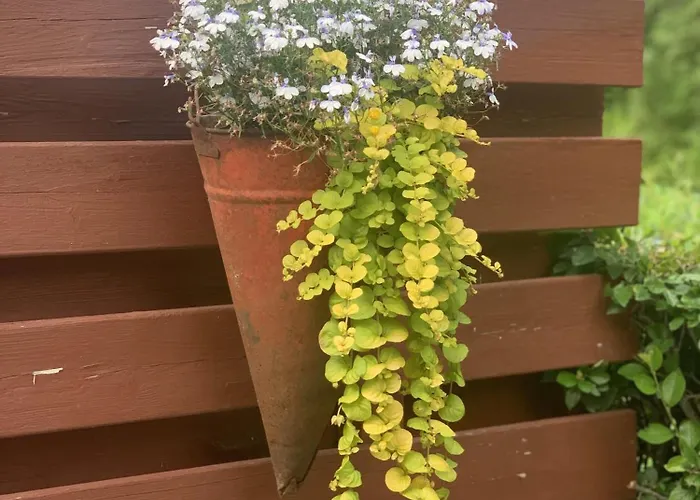 Апартаменты Maeekalda Garden With Private Sauna Раквере