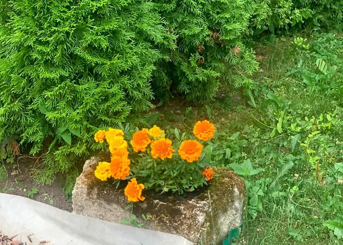 Maeekalda Garden With Private Sauna Апартаменты Раквере